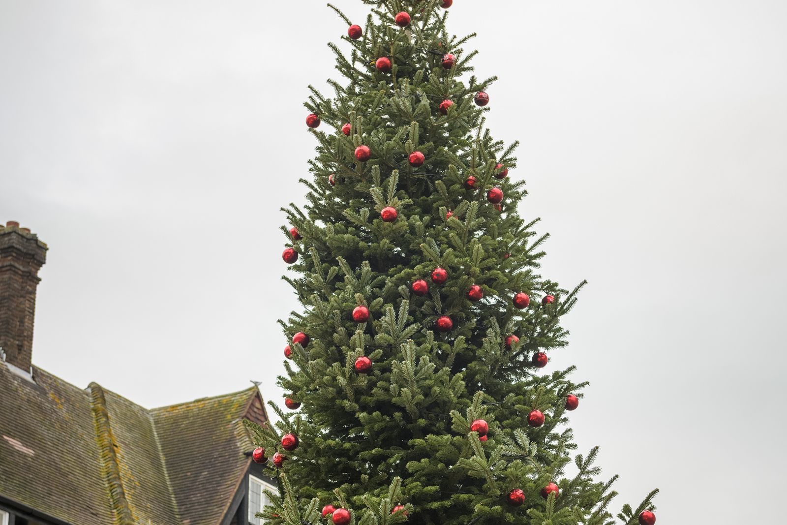 Christmas Switch-On