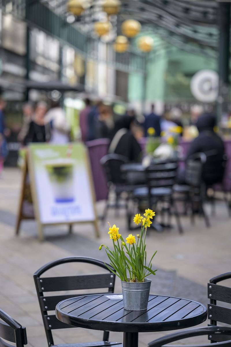 Floral installations